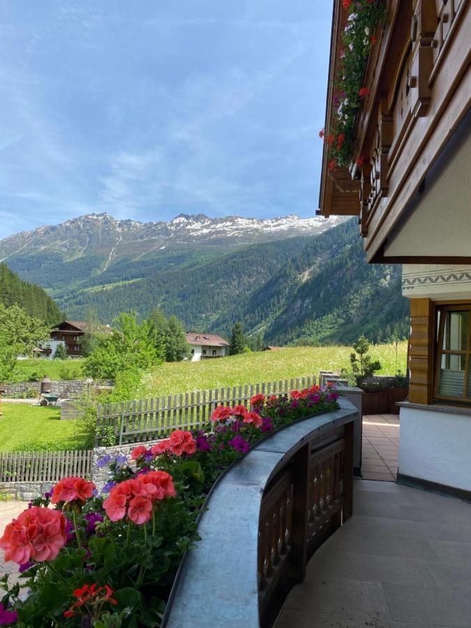 Wiesenplatzl Appartement *