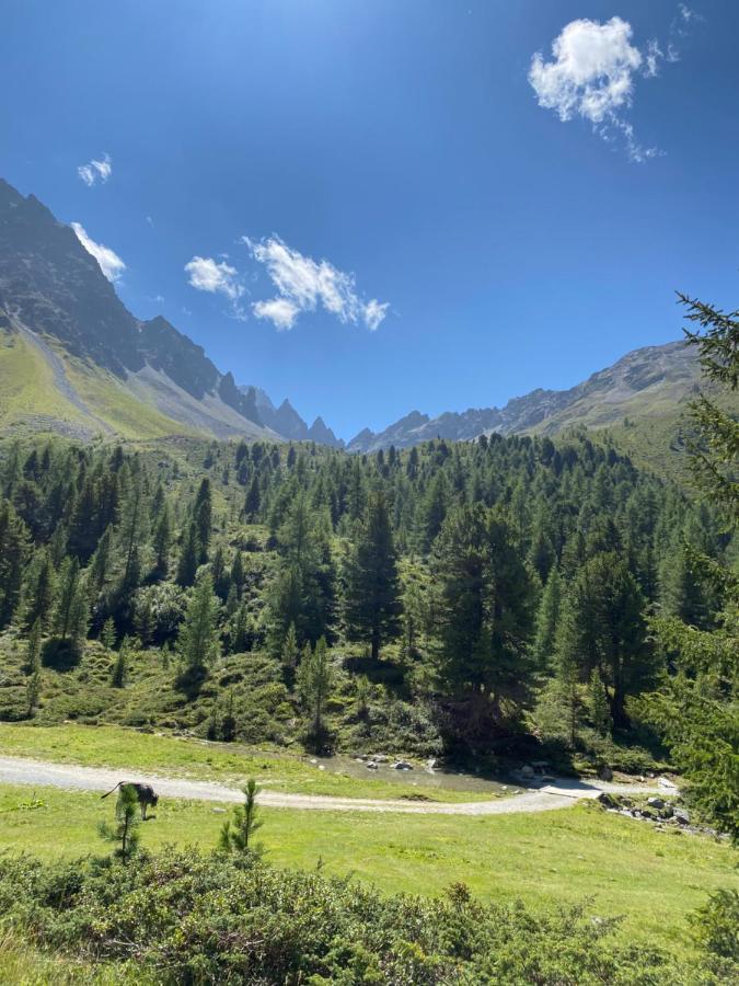 Wiesenplatzl Apartment Kaunertal