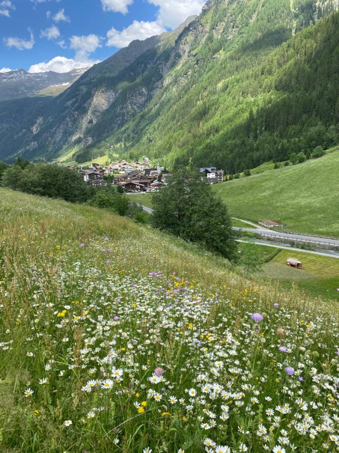 Wiesenplatzl Apartment Kaunertal