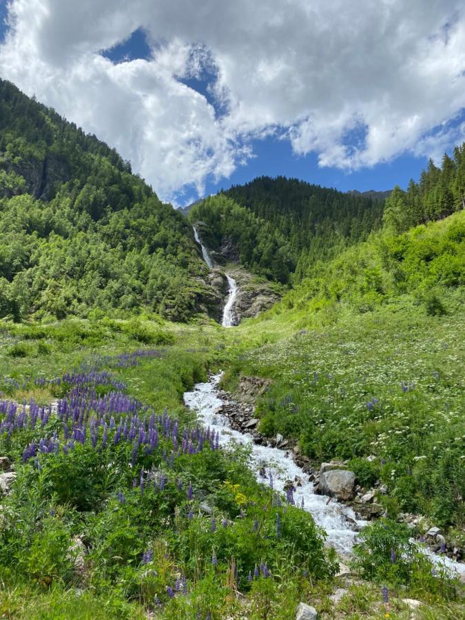 Wiesenplatzl Kaunertal